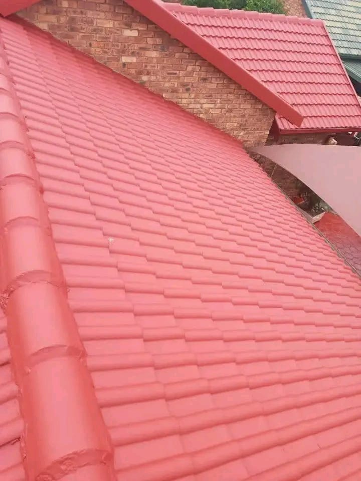 Roof Painting